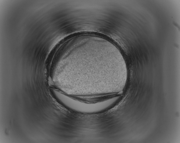 X0000091240926200709061537