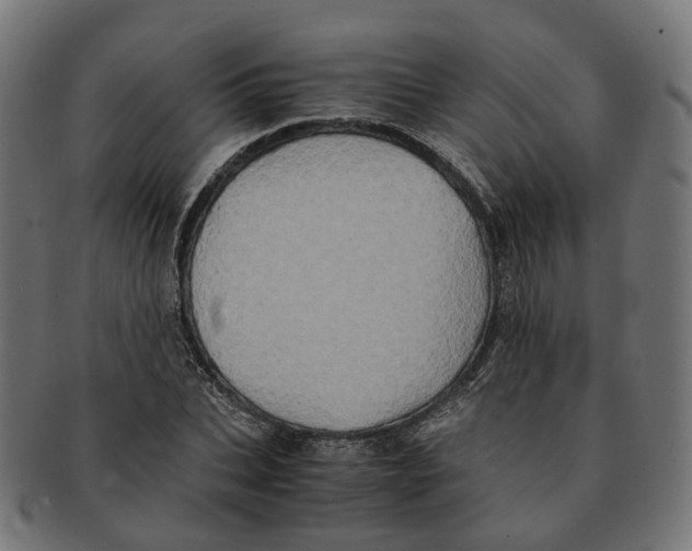 X0000091240927200709061537