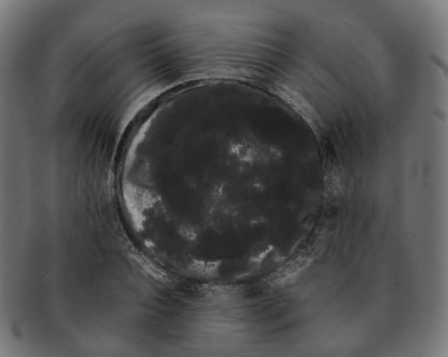 X0000091240928200709061537