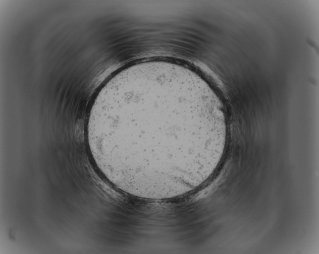 X0000091240929200709061537