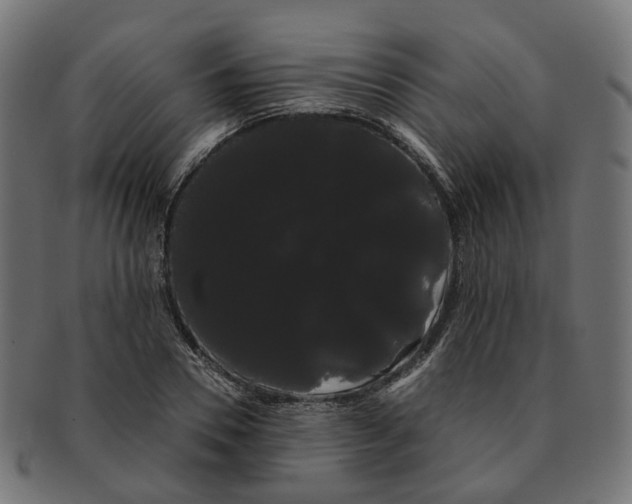 X0000091240930200709061537