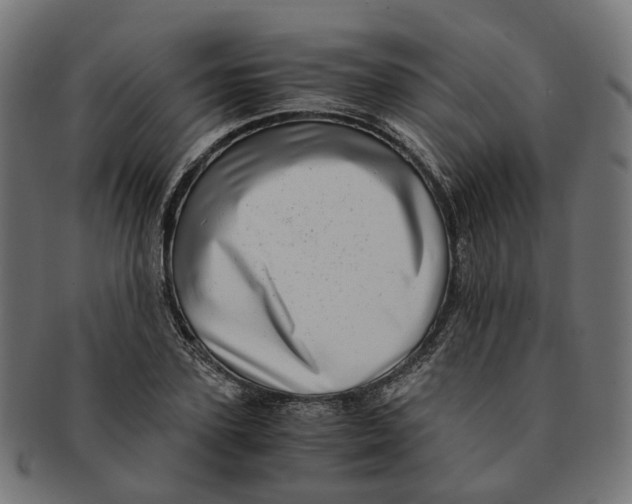 X0000091240931200709061537