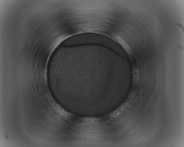 X0000091240932200709061537