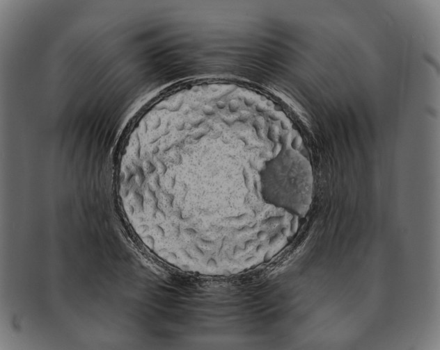 X0000091240933200709061537