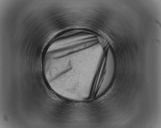 X0000091240934200709061537