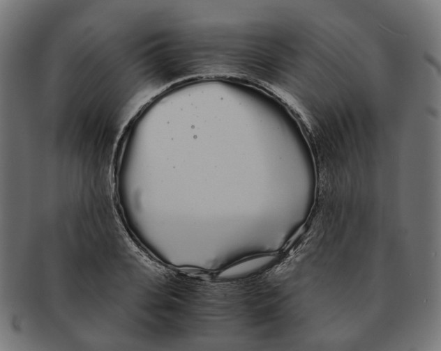 X0000091240935200709061537