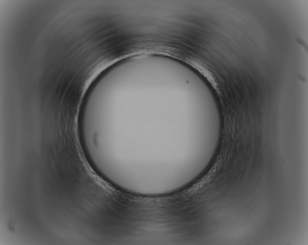 X0000091240936200709061537