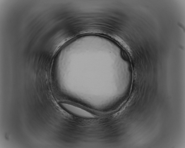 X0000091240937200709061537
