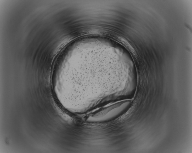 X0000091240938200709061537