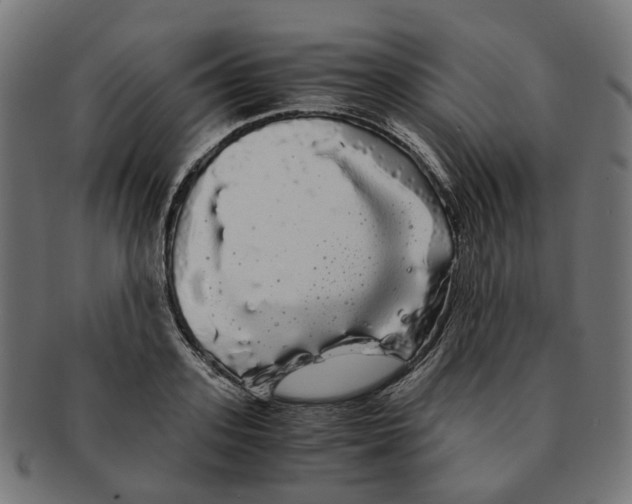 X0000091240939200709061537