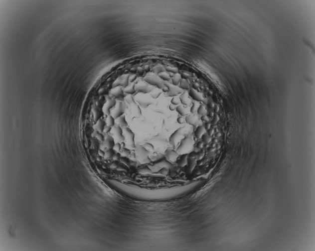 X0000091240940200709061537