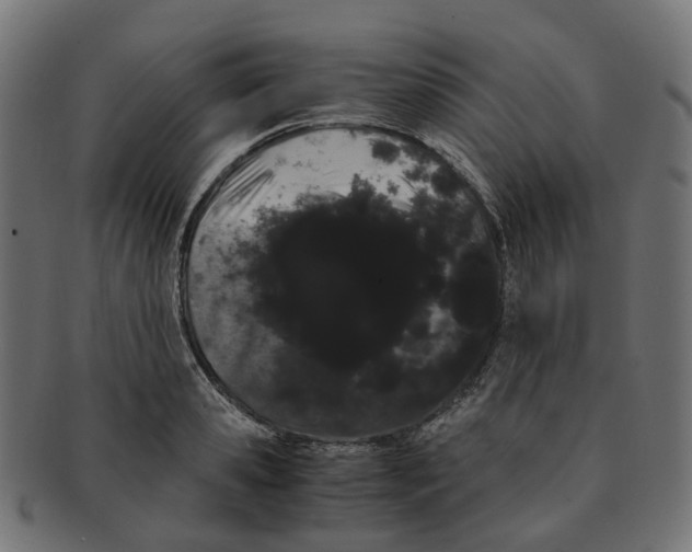 X0000091240941200709061537