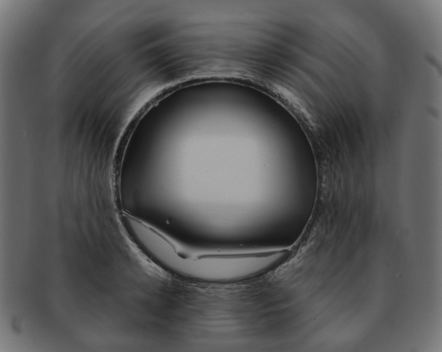 X0000091240942200709061537