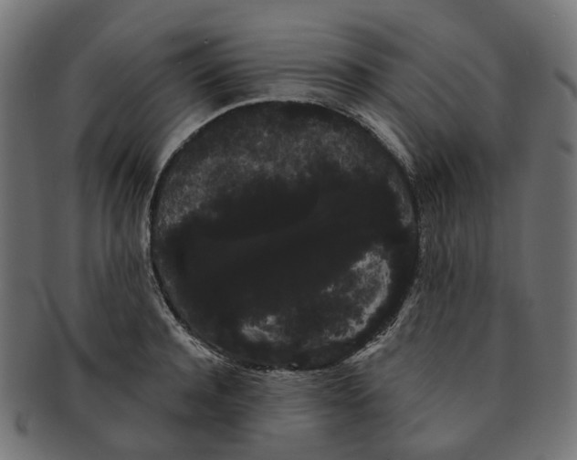 X0000091240944200709061537