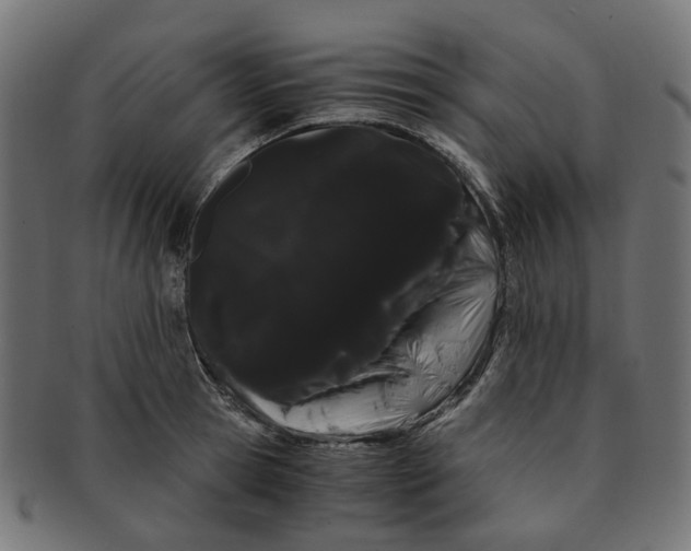 X0000091240945200709061537
