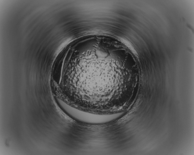 X0000091240946200709061537