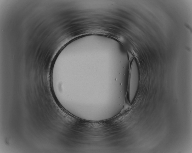X0000091240947200709061537