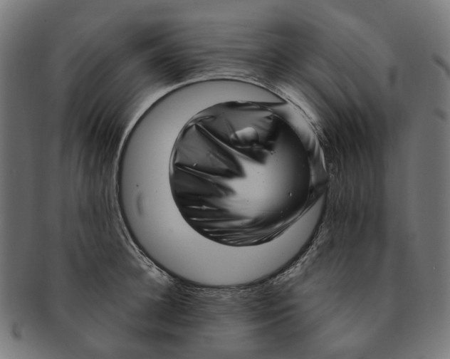 X0000091240948200709061537