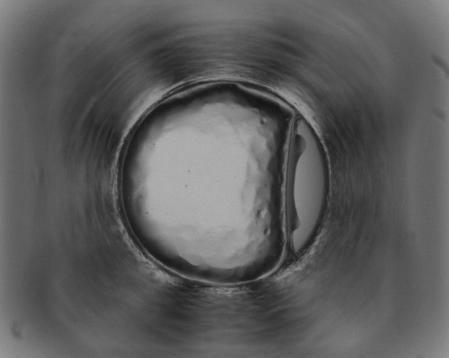 X0000091240949200709061537