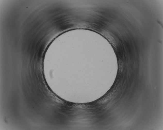 X0000091240950200709061537