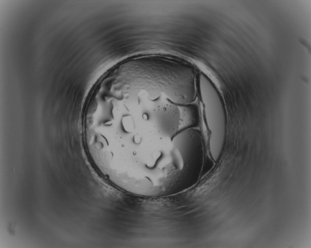 X0000091240951200709061537