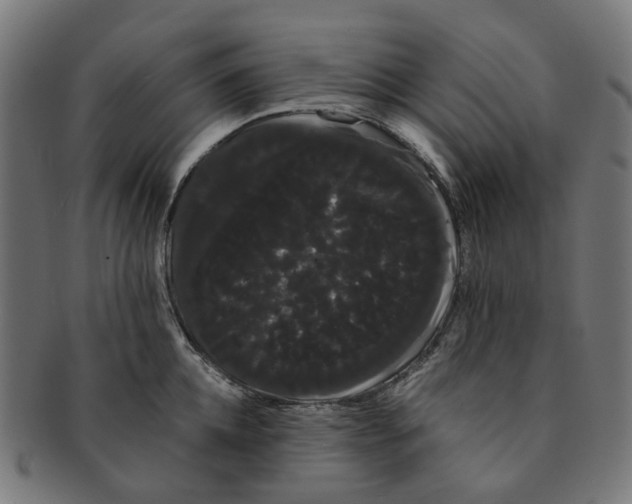 X0000091240952200709061537