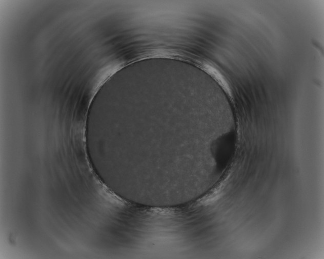 X0000091240954200709061537
