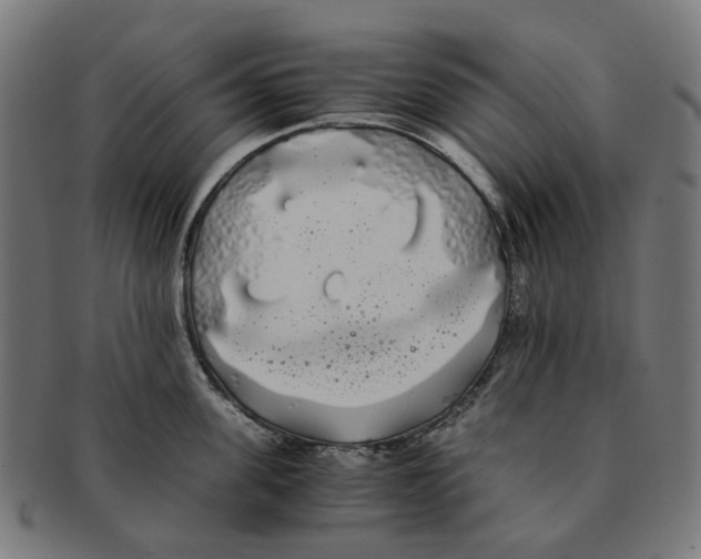 X0000091240955200709061537