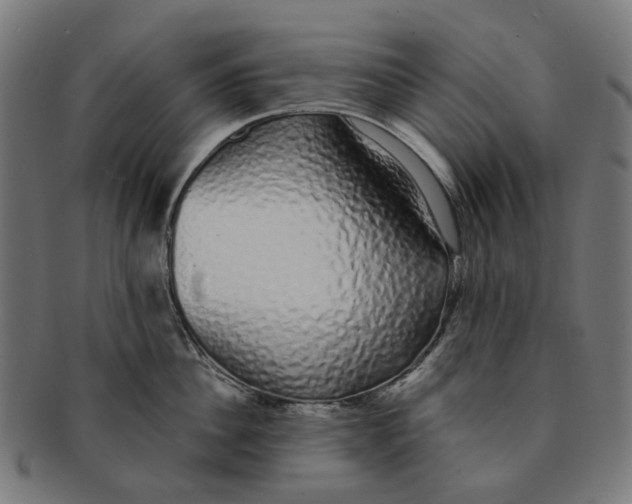 X0000091240956200709061537