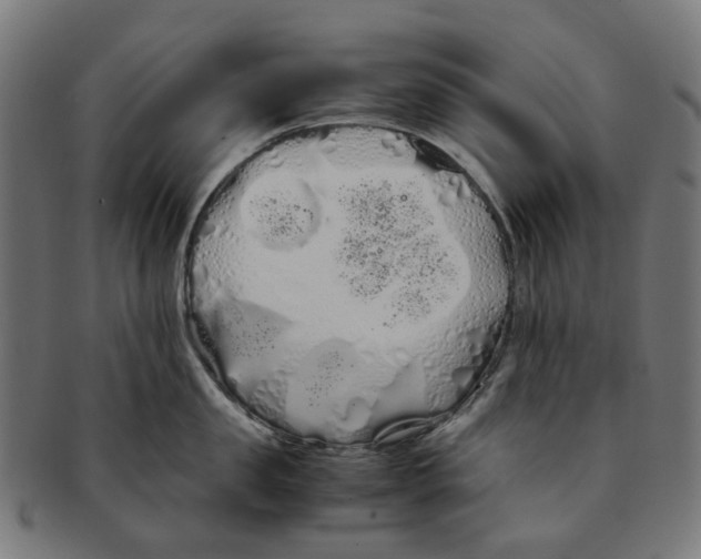 X0000091240957200709061537