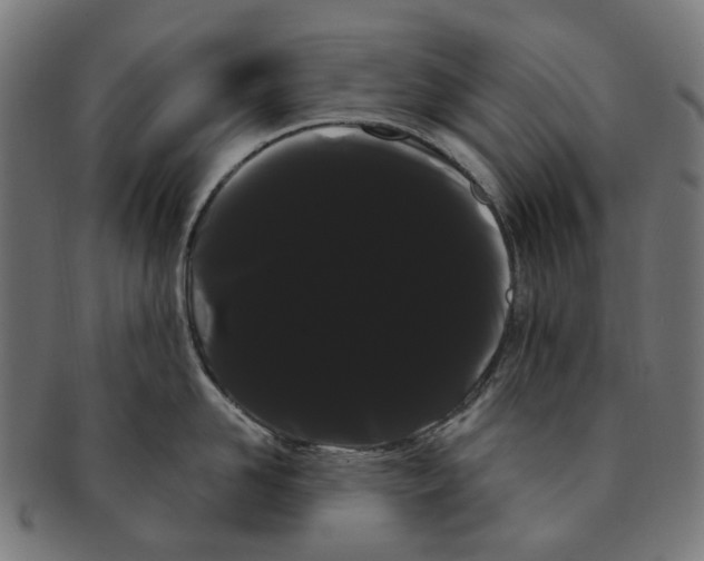 X0000091240958200709061537