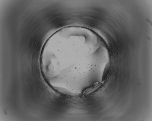 X0000091240959200709061537