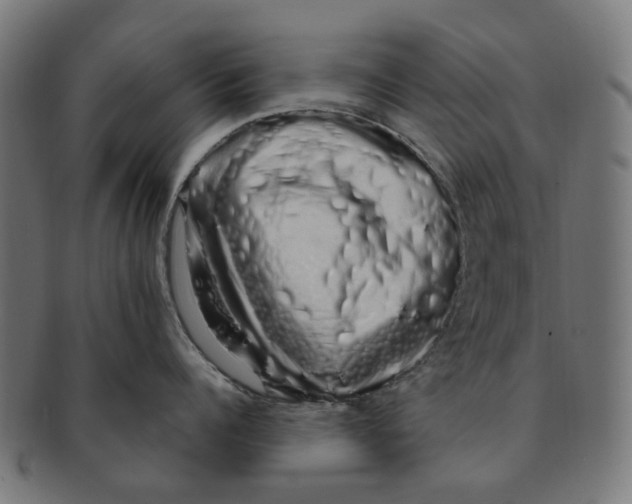 X0000091240960200709061537