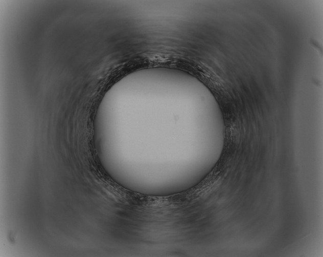 X0000091240961200709061536