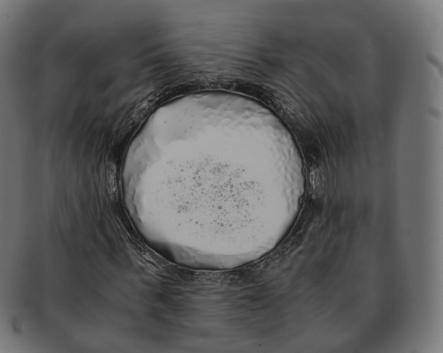 X0000091240963200709061536