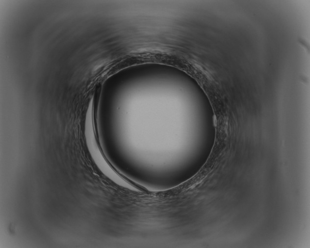 X0000091240965200709061536