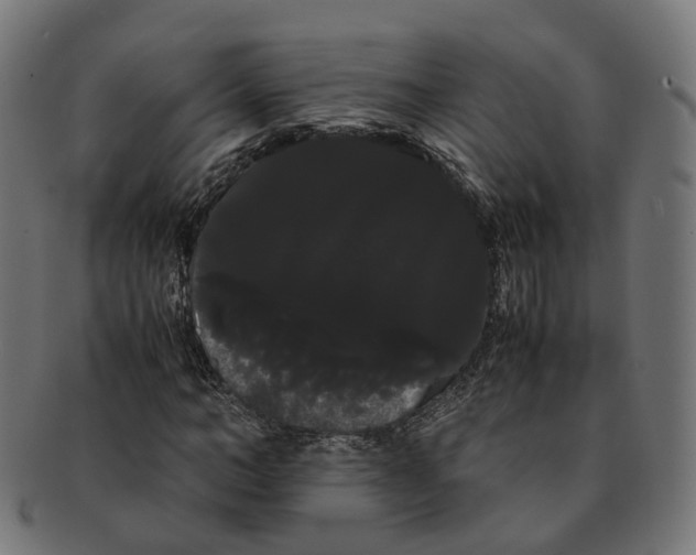 X0000091240966200709061536
