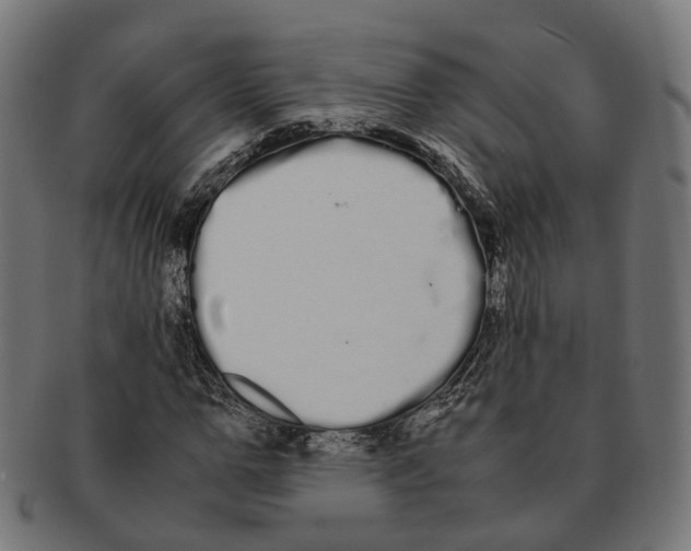 X0000091240967200709061536