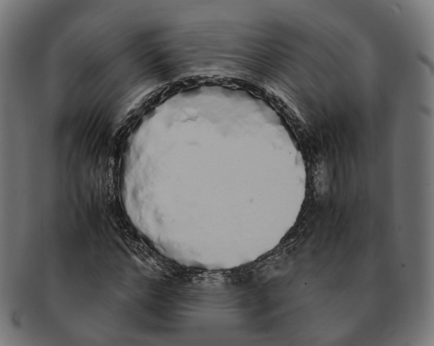 X0000091240968200709061536