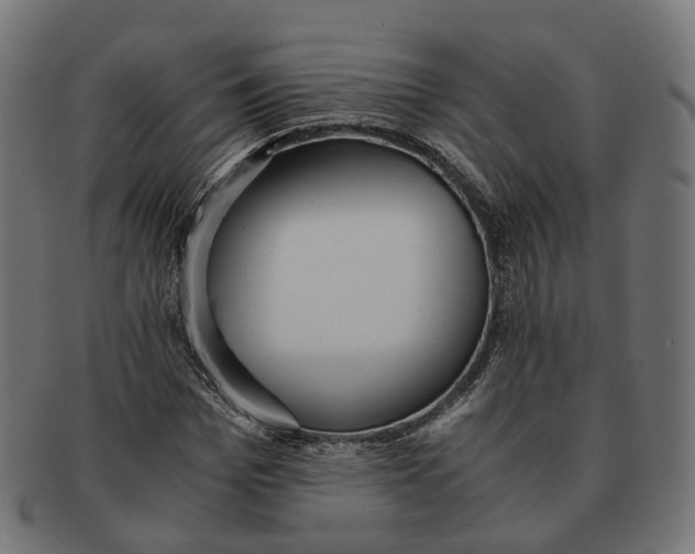 X0000091240969200709061536