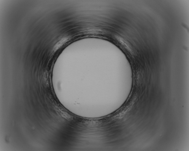X0000091240970200709061536