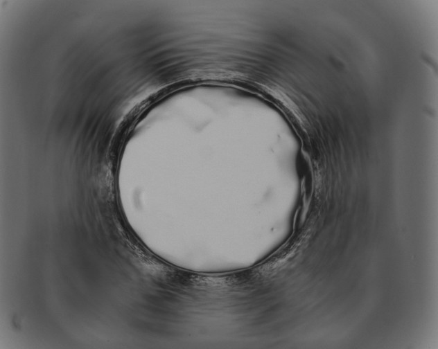 X0000091240971200709061536
