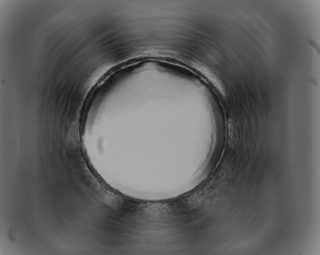 X0000091240972200709061536
