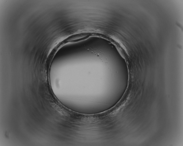 X0000091240973200709061536