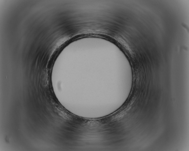 X0000091240974200709061536