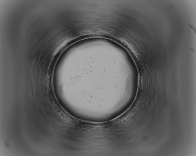 X0000091240975200709061536