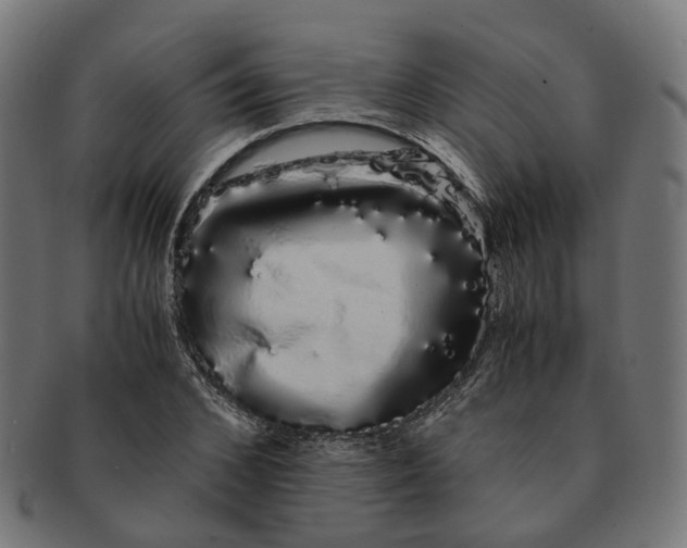 X0000091240976200709061536