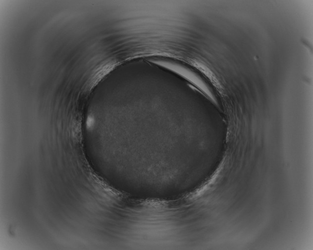 X0000091240977200709061536