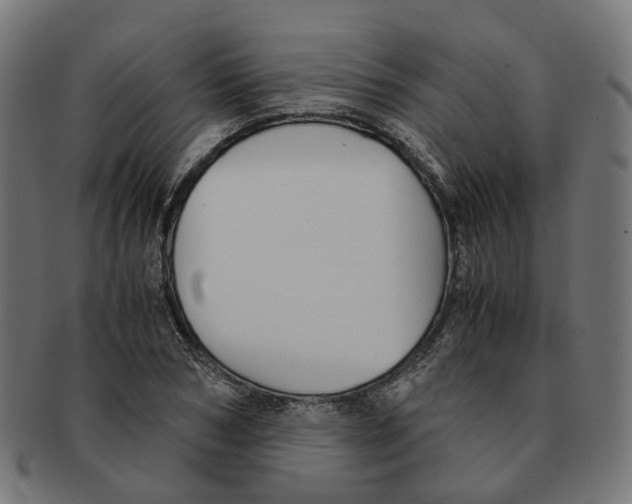 X0000091240978200709061536