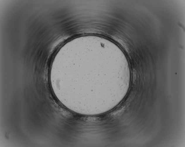X0000091240979200709061536